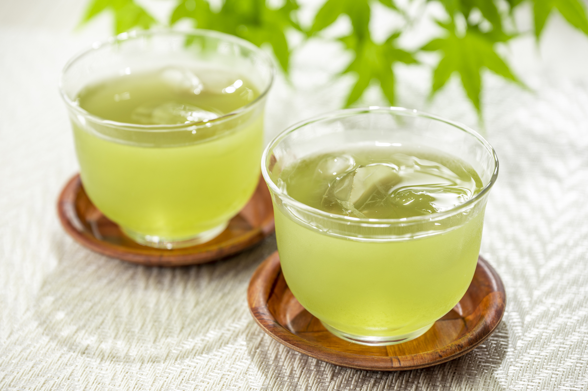 目にも涼しい、夏の特等席。ひんやり緑茶と“涼”を味わう、とっておきのおうち時間